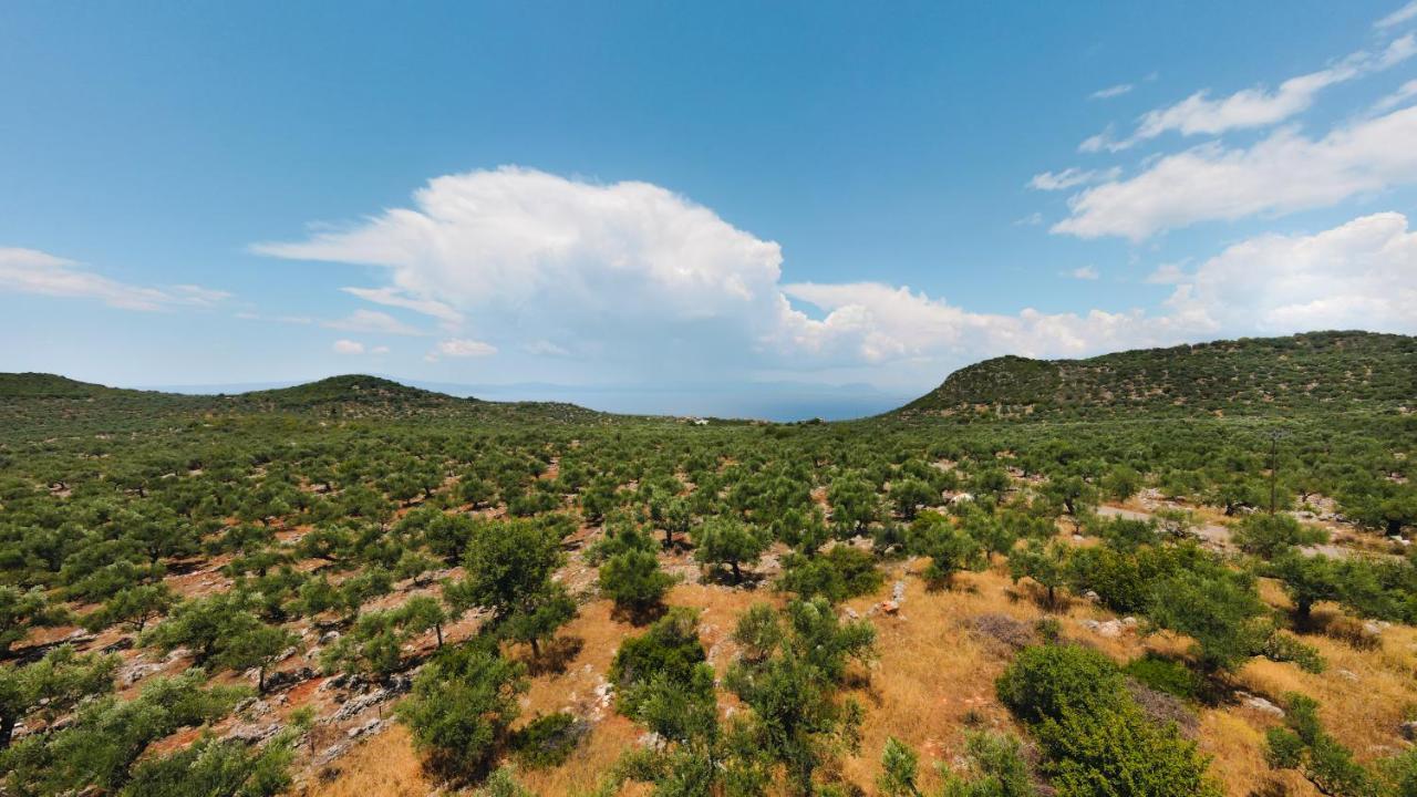 Appartement In Olive Groove House Peloponnesos Western Mani Kalianeika Екстер'єр фото
